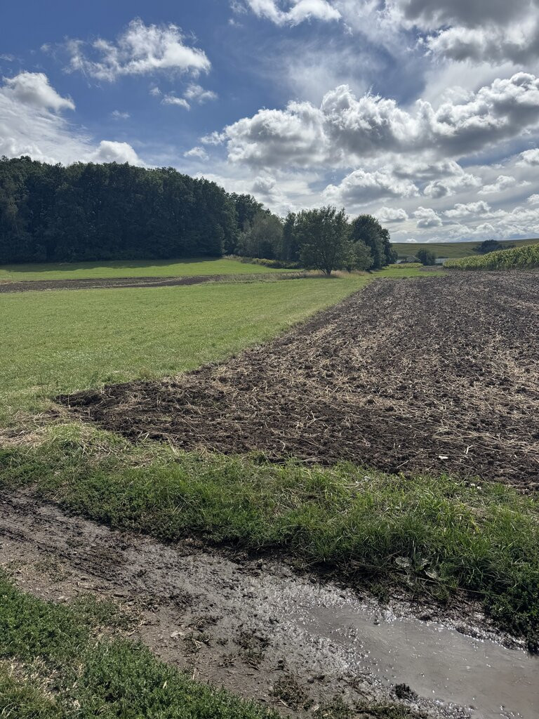 Działka Sprzedaż Staniątki 7
