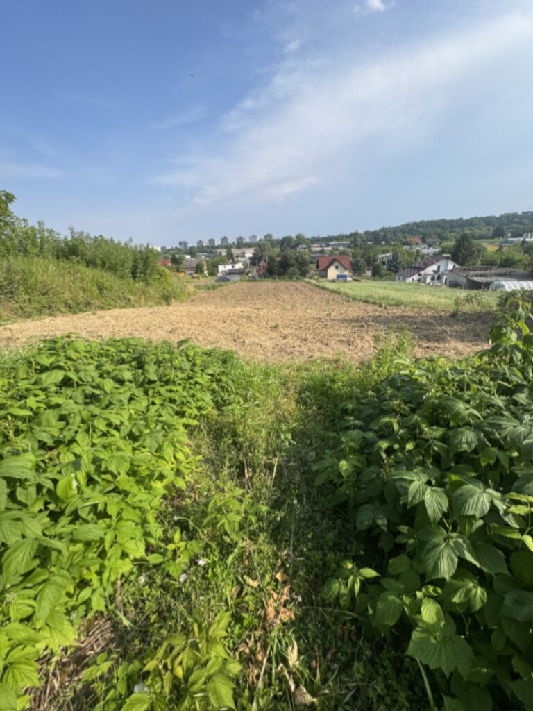 Działka Sprzedaż Dziekanowice