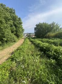Działka Sprzedaż Dziekanowice